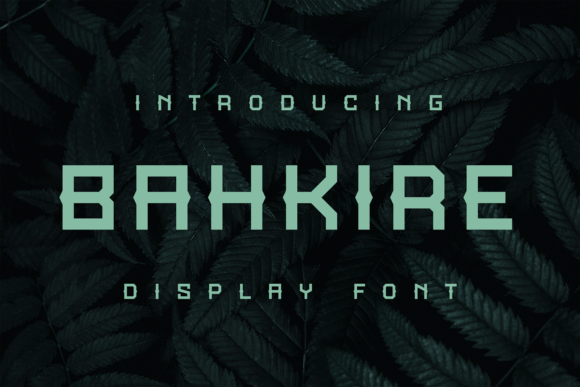 Bahkire: A Funky Font for Business