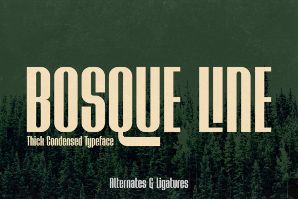 Bosque Line Font for Modern Web Design