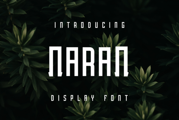 Naran Font for Creative Projects