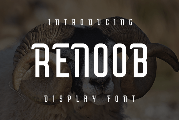 Renoob Font for Creative Projects