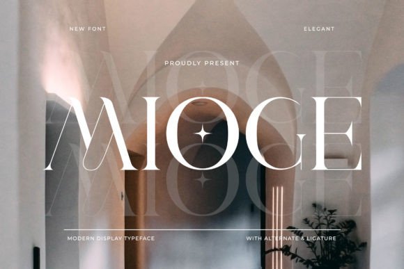 Use Mioge for Professional Branding